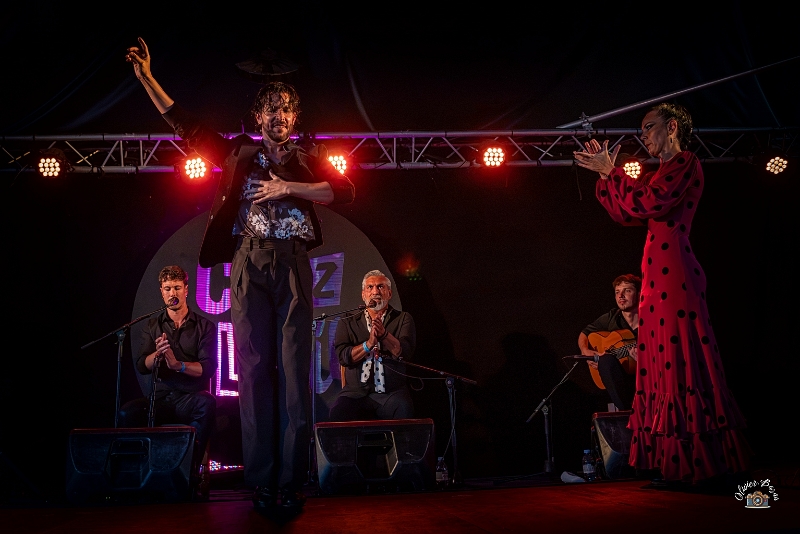 flamenco (69)